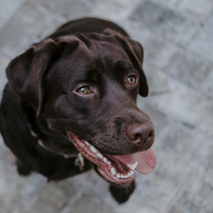 First Officer Alex Bennett